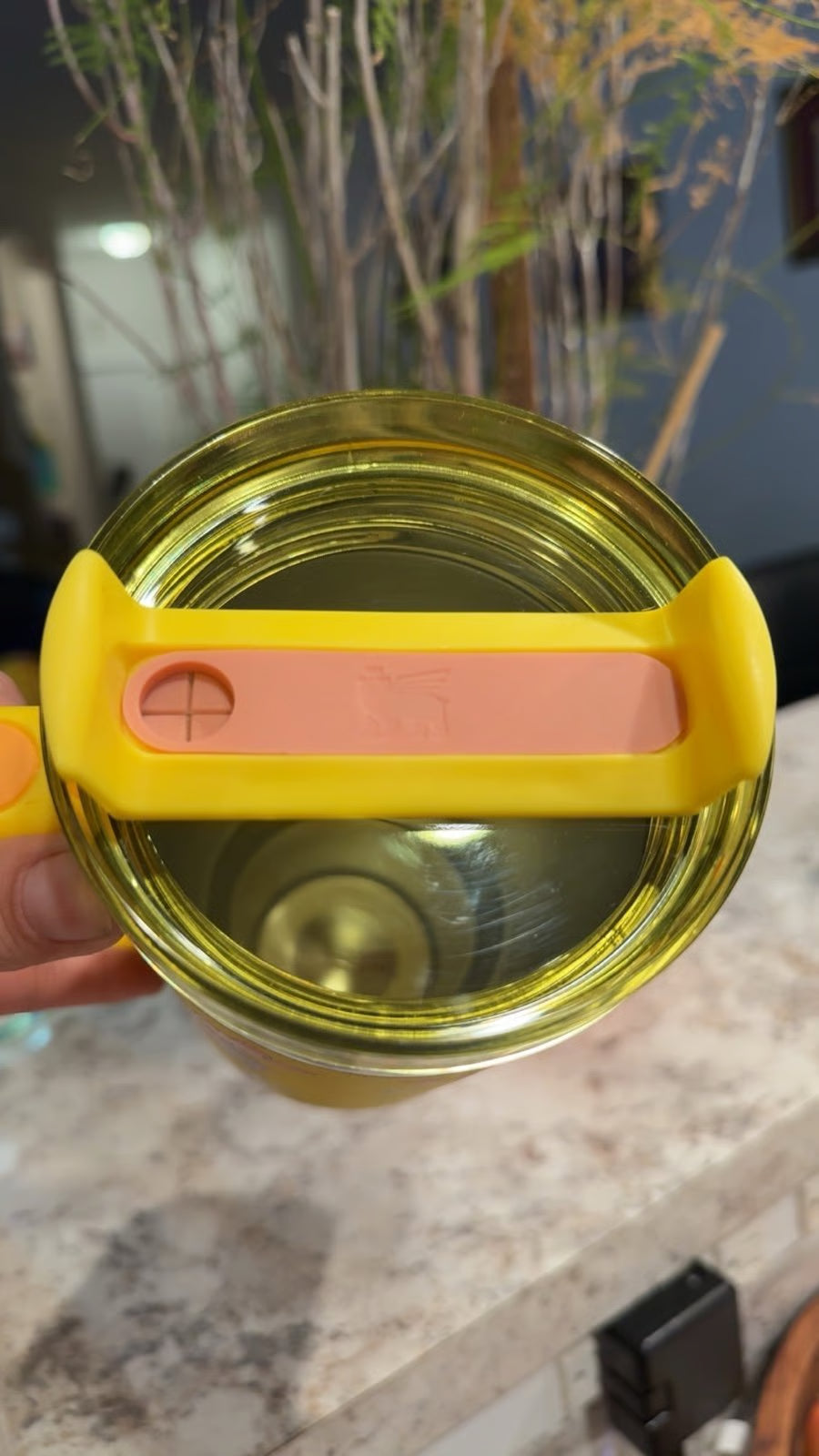 Exclusive Winnie The Pooh Tumbler 40oz