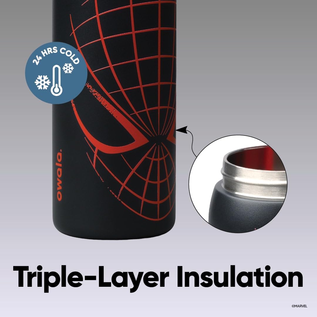 Spiderman 32oz FreeSip Water Bottle